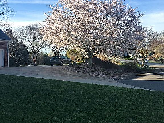 5th image of 1608 Lenox Dr NW