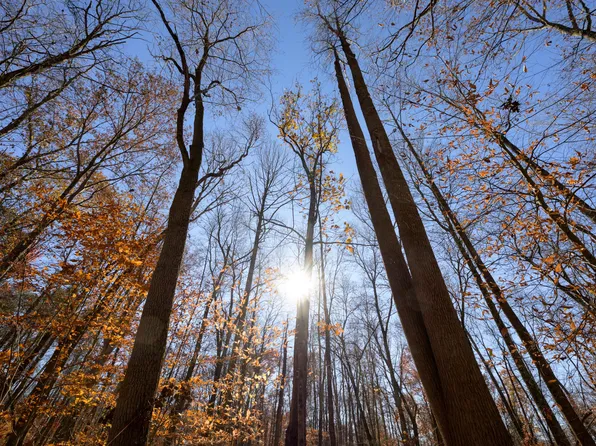 0 Morning Star Rd, Racine, OH 45771