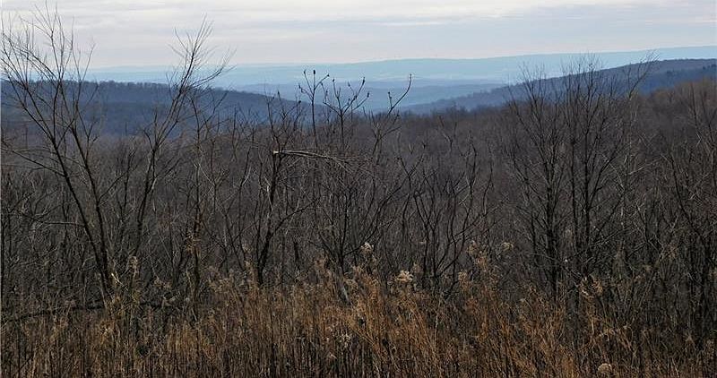 2nd image of 749 Fire Tower Rd