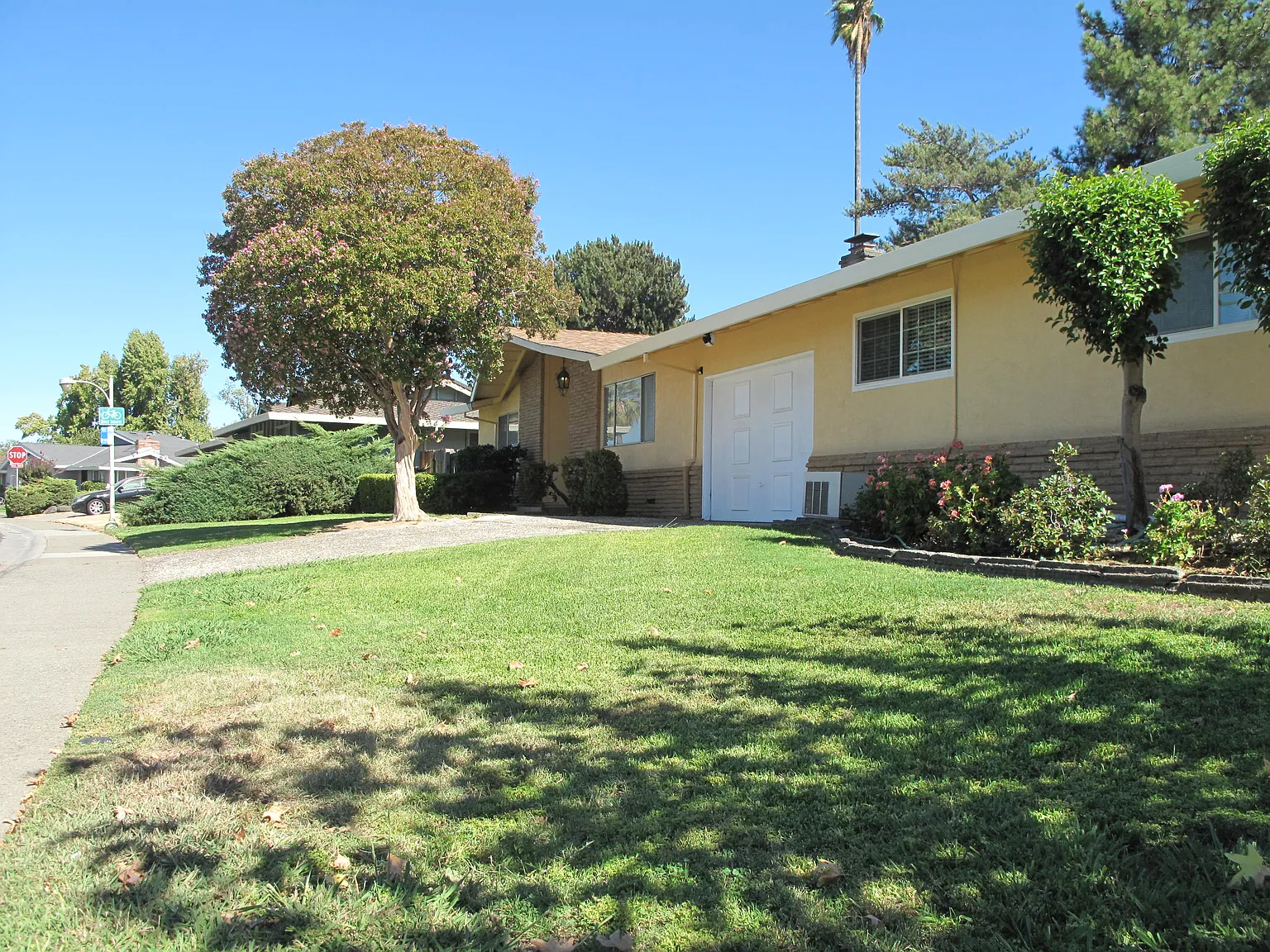 3 bed, 1450 sqft, $2,850 — Photo 3