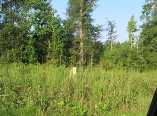 8710 Lower Thomaston Rd, Lizella, GA 31052