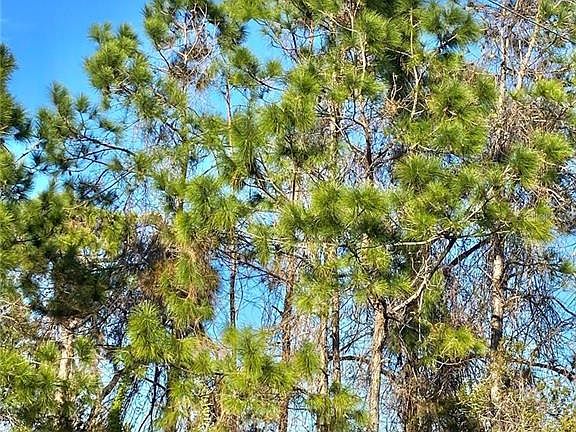 2nd image of 6070 E Arbuckle Rd