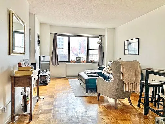 345 E 80th St APT 10A photo 1