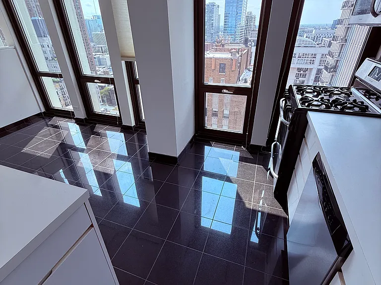 1 E Scott St #2309 — Photo 10