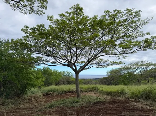 Punaluu Rd Lot 4, Naalehu, HI 96772