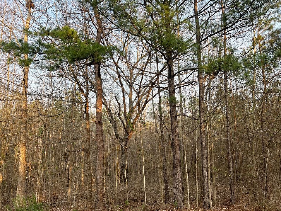 2nd image of 3 Mann Rd