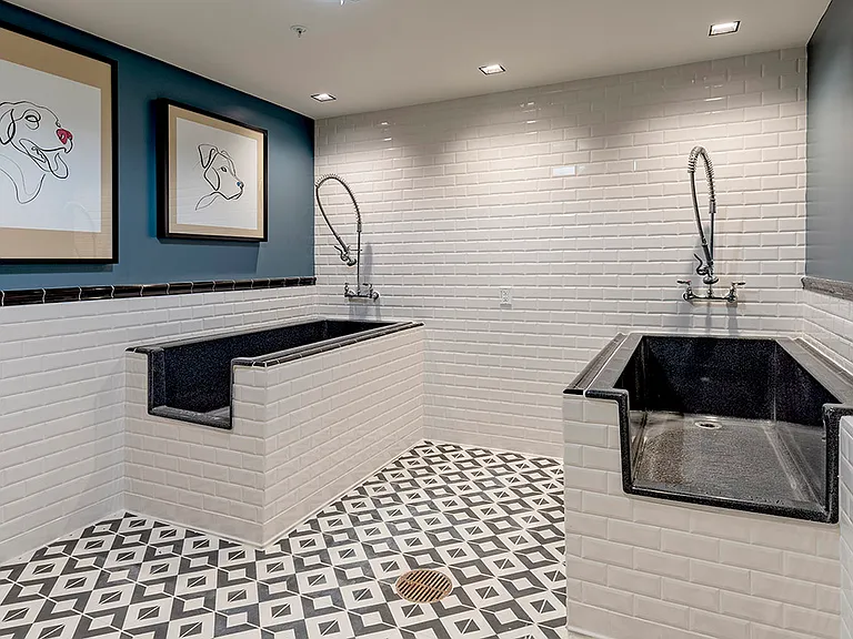 Apartment community pet spa at Griffis Edgemoor in Bethesda, Maryland.