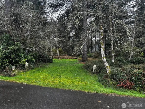 379 Eridani Loop SE, Ocean Shores, WA 98569