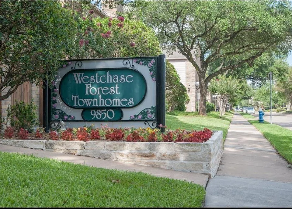 9850 Pagewood Ln #505