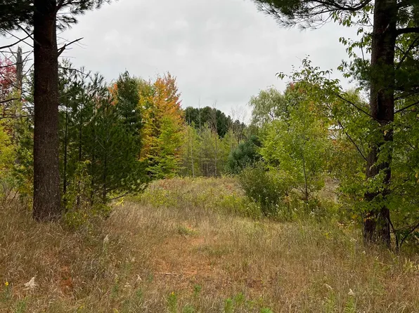 0 Bass Lake Rd, Traverse City, MI 49685