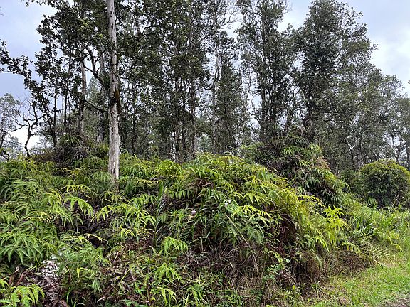 4th image of 12-4331 Hilo St Lot 569