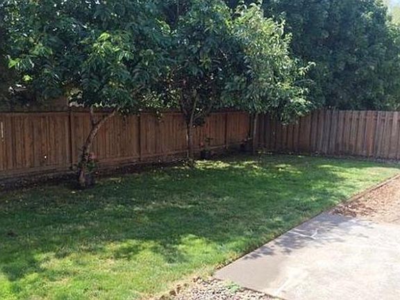 Well maintained backyard perfect for entertaining.