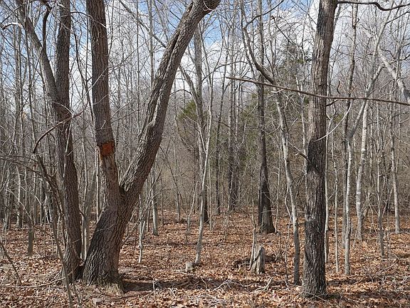 5th image of Chestnut Tower Ln