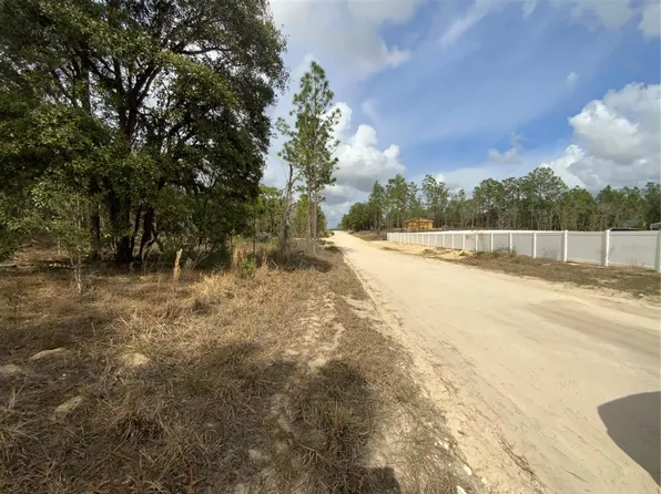 SE 148th Ave Lot 1, Williston, FL 32696