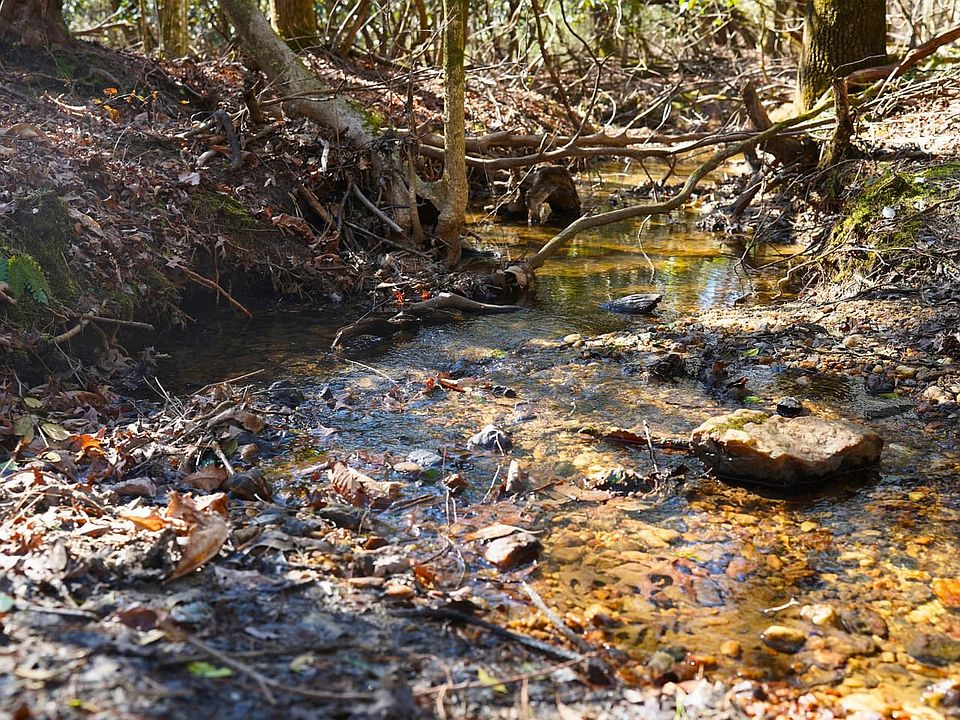 Land with Creek for Sale in Surry County, NC by Justin Rolfe, Mossy Oak Properties Land and Luxury