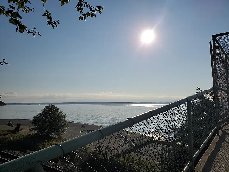 View at Carkeek Park!