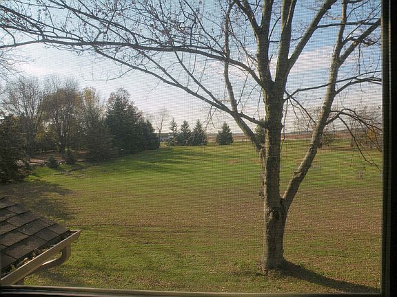     back view from bedroom