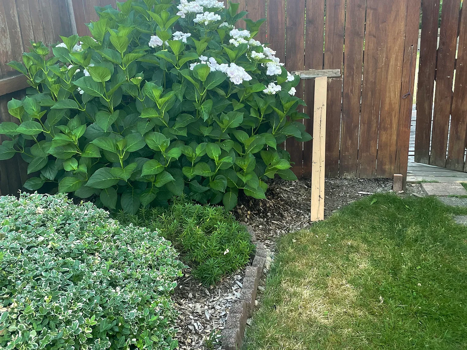1 bed, 1106 sqft, $1,450 — Photo 2