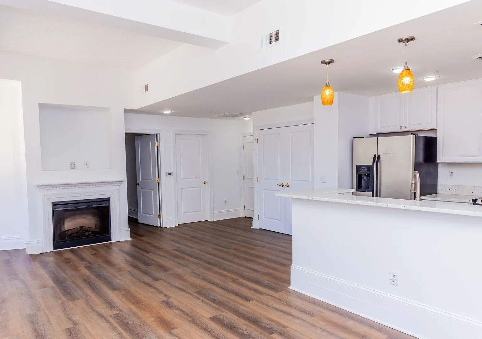 Just Steps from VCU Medical Center & State Capital- Luxury Two Bedroom — Photo 3