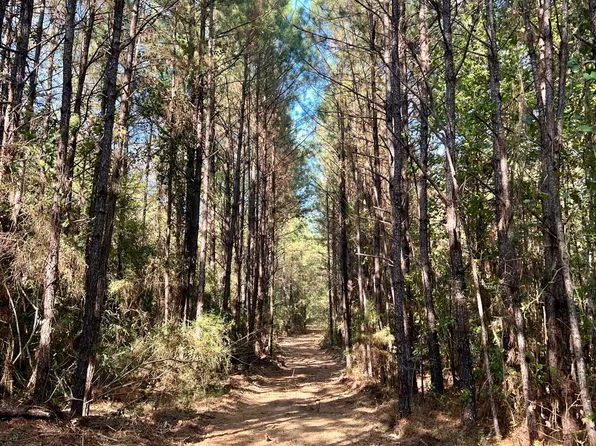 0 State Hwy #501, Lake, MS 39092