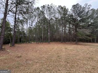 0 John Wells Rd, Hinesville, GA 31313