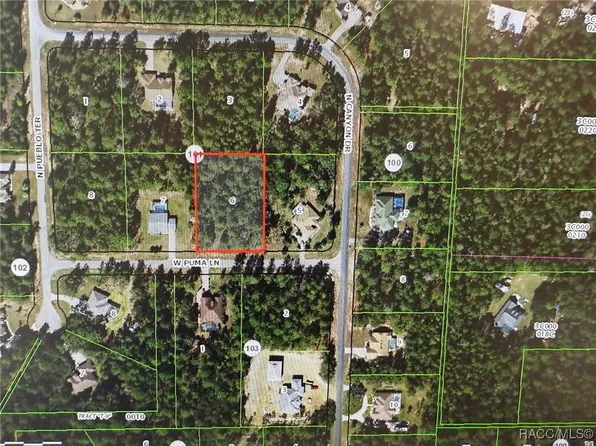 4857 W Puma Ln, Beverly Hills, FL 34465