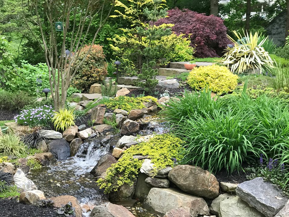 Koi pond 