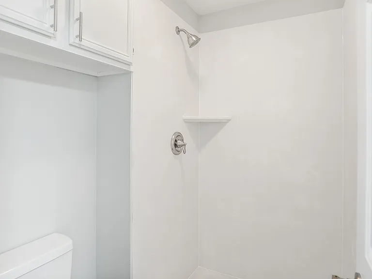 Master Shower/ Water Closet