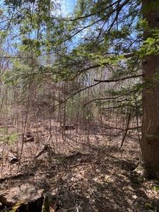 9-9 New Athol Rd #L, Petersham, MA, 01366