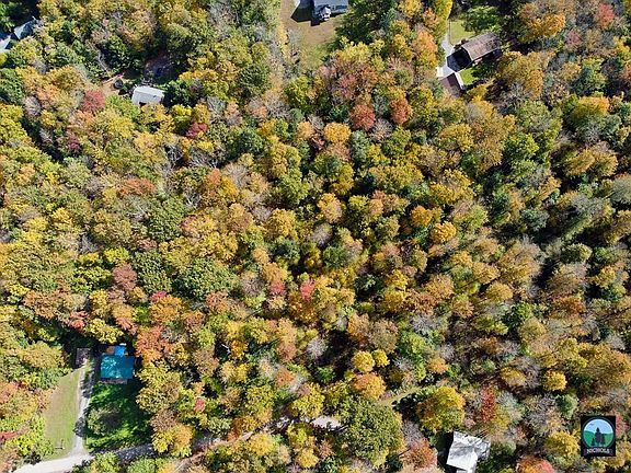 4th image of White Birch Cir
