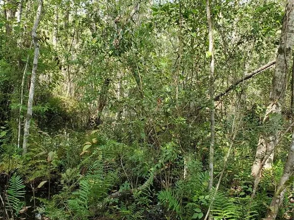 (undisclosed Address), New Pt Richey, FL 34654