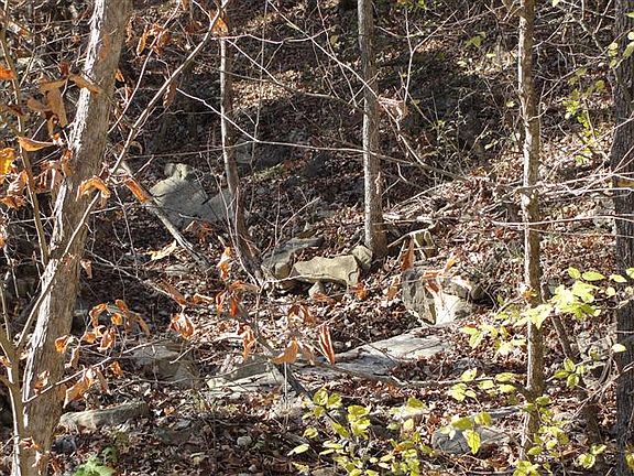 5th image of Shore Acres Dr Lot 1