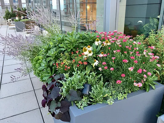 Rented by Compass | media 47