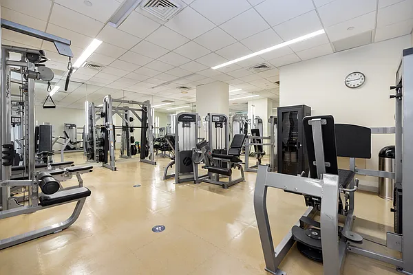 Rented by Douglas Elliman | media 20