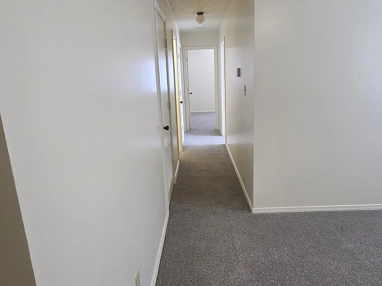 Bright hallway with brand-new carpet leading to the bedrooms, finished with crisp fresh paint throughout.