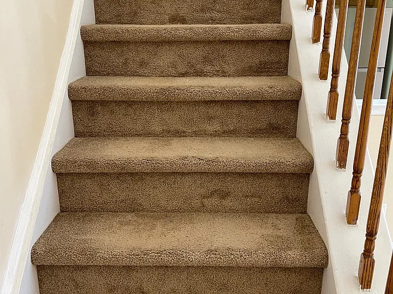 14 Cedar Ct — Photo 9