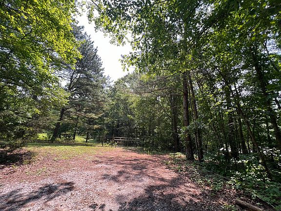 2nd image of 0 Pine Ln