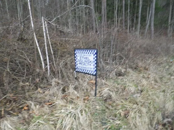 0 Peg Run Rd, Northern Cambria, PA 15714