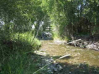4th image of 244 Tuke Ln