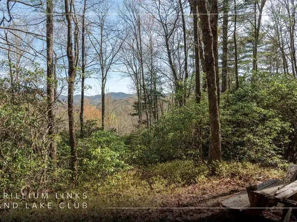 Lot 4 Trillium Ridge Road, Cullowhee, NC 28723