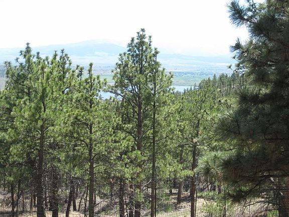 3rd image of 6090 Timber Trail Dr