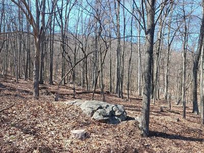 Wild Apple Ln, Paw Paw, WV, 25434