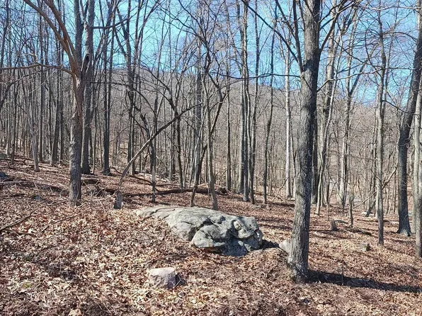 Wild Apple Ln, Paw Paw, WV 25434