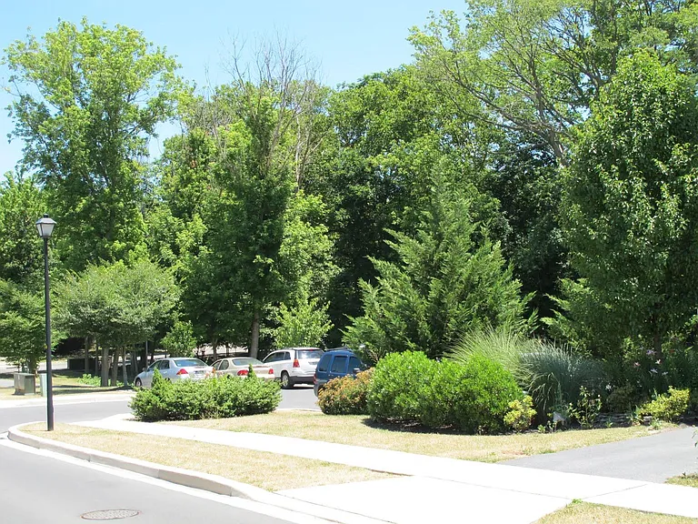 943 Monet Dr — Photo 4