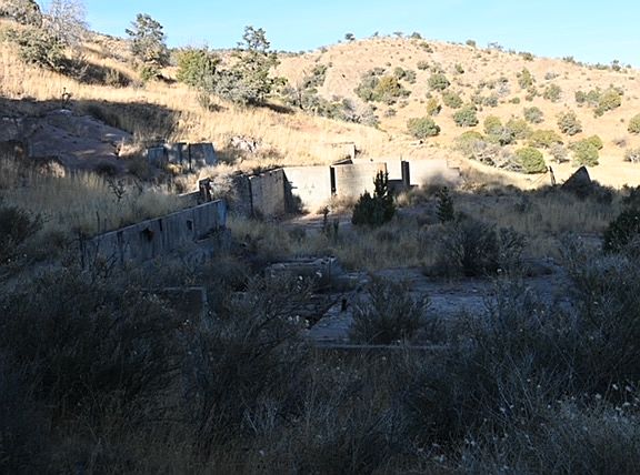 5th image of Forest Rd #330