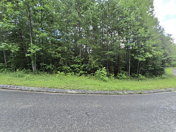 2nd image of LOT 156 Lower Brow Rd