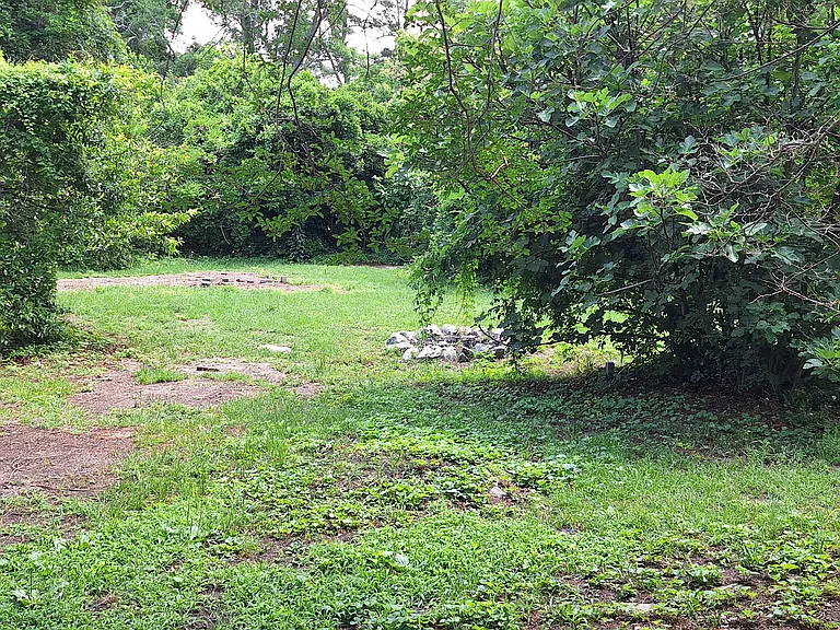 1215 Clarendon St — Photo 35