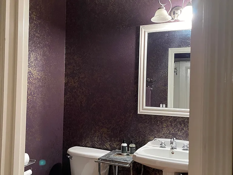 Downstairs 1/2 bathroom