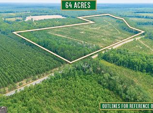 0 Powell School Rd N TRACT 2, Lumber City, GA 31549