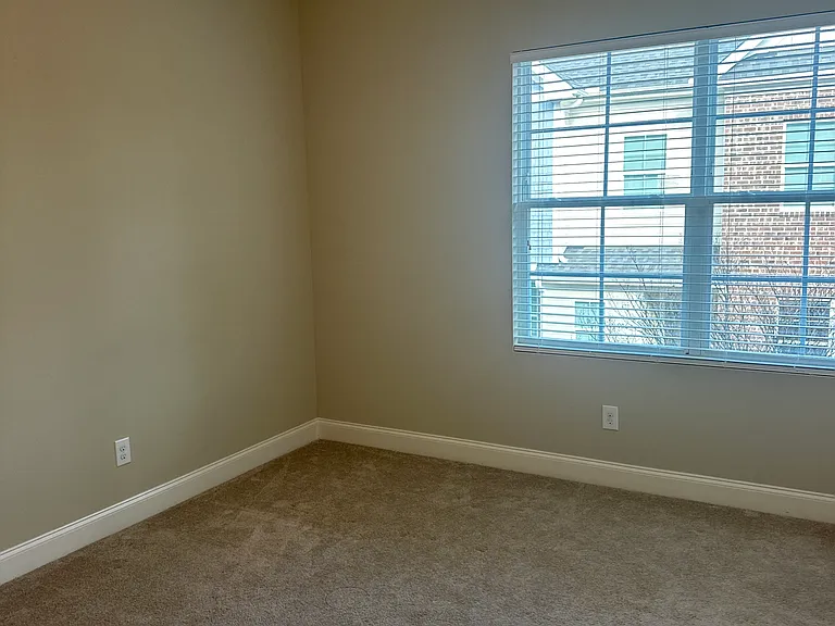 913 Townes Park St — Photo 21